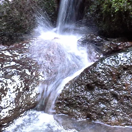 Κατάλυμα σε φάρμα Pentuma