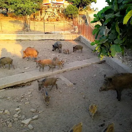 奔图玛农庄酒店 * Chiaramonti