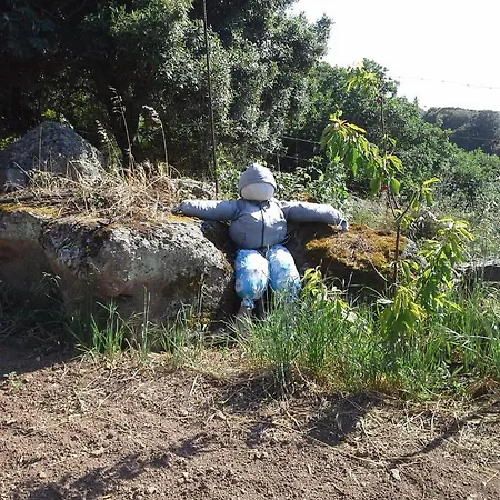 Pentuma * Chiaramonti