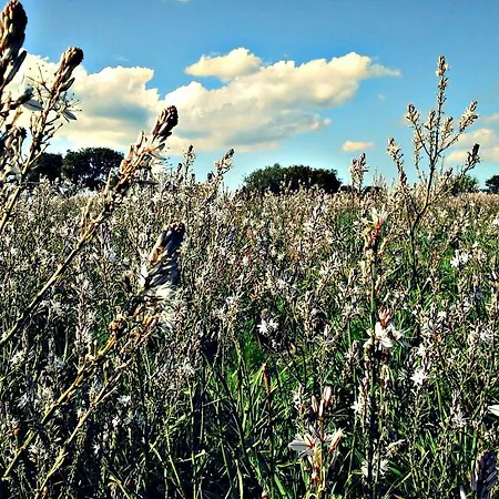 Pentuma Κατάλυμα σε φάρμα