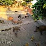 Pentuma * Chiaramonti