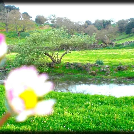 Feriegård Pentuma *