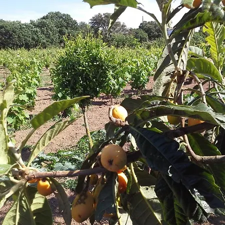 Farmház Pentuma