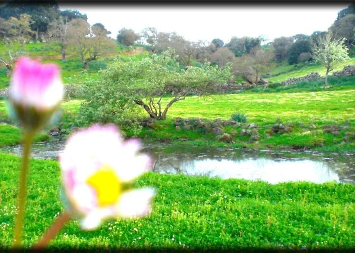 Séjour à la ferme Pentuma *