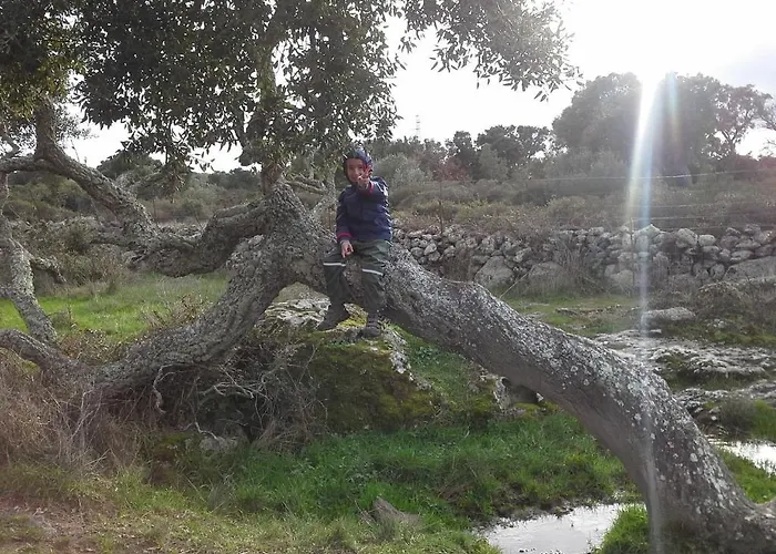 Gospodarstwo agroturystyczne Pentuma Chiaramonti